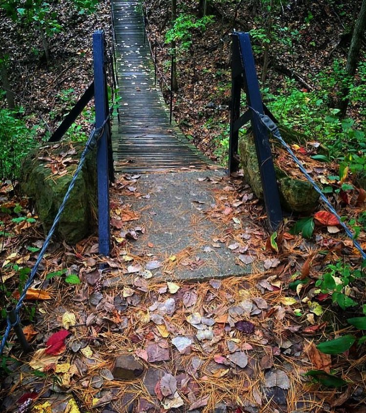 Happy first day of fall!