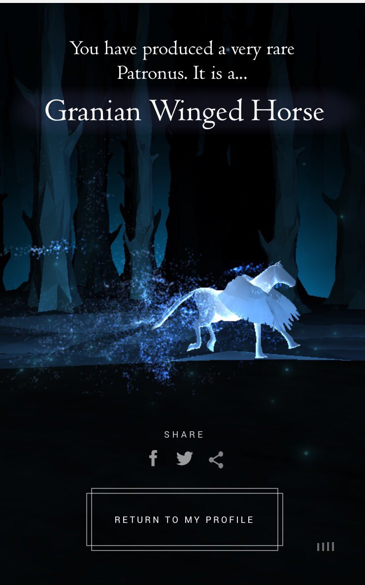 ViktorGoa's tweet photo. @pottermore is this any good?🤔 i like it https://t.co/q6zRQBsrjr
