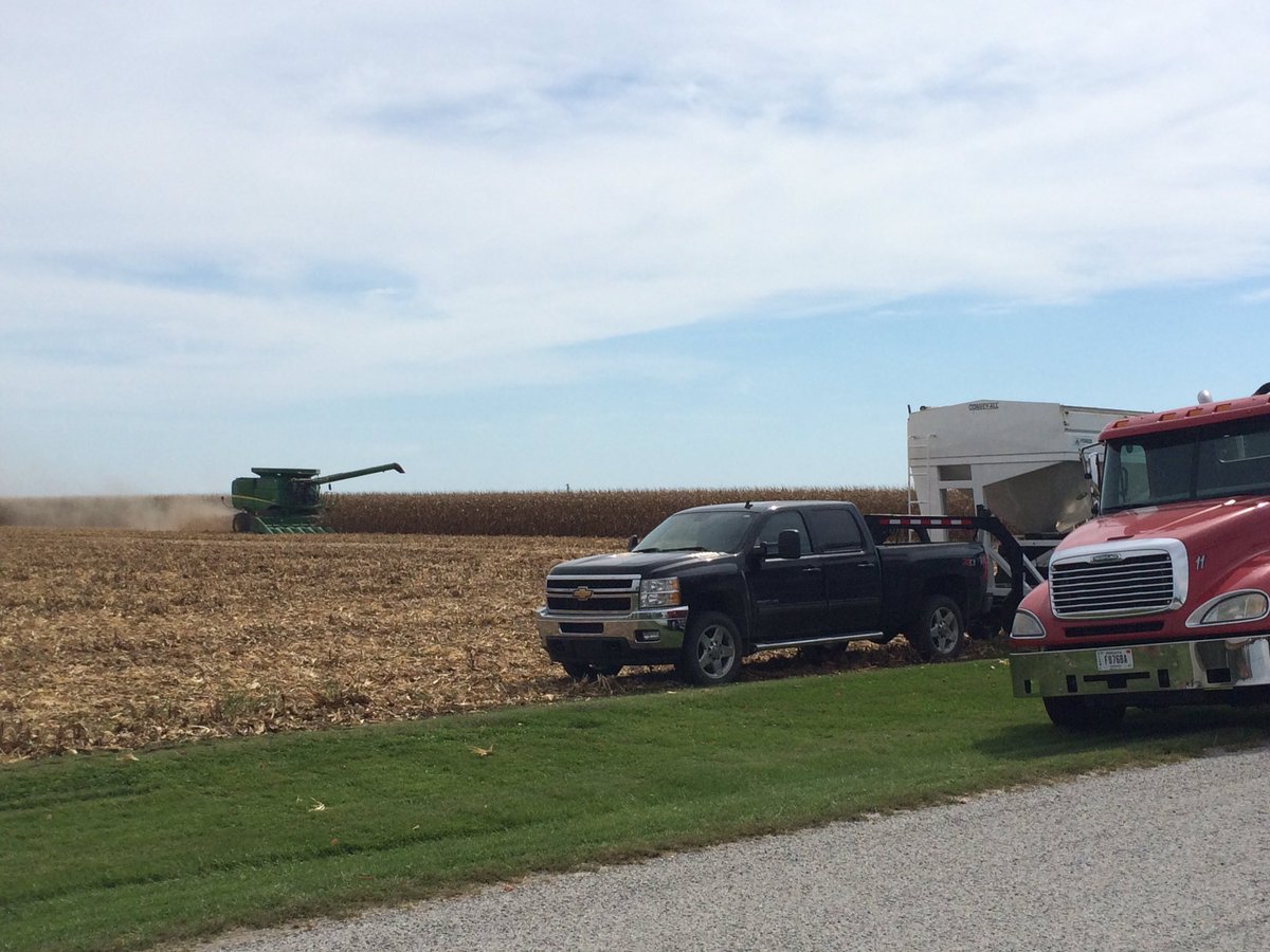 Sand Farmer tweet media