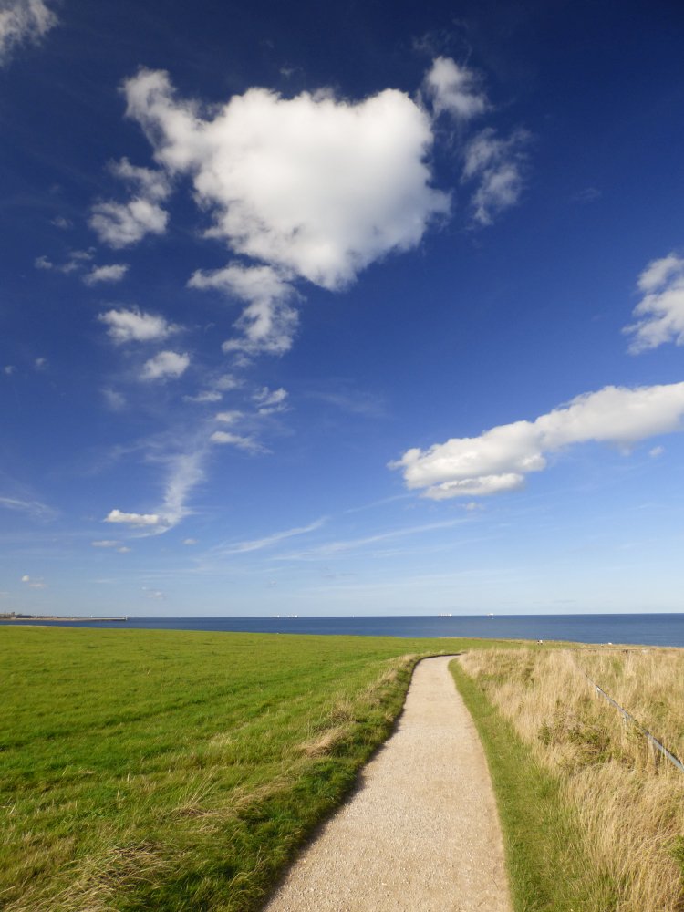 brtoon's tweet image. Evening all, thought I'd post this curious cloud, it's definitely got small eyes &amp;amp; a nose, something a little different  :-) #CuteCloud