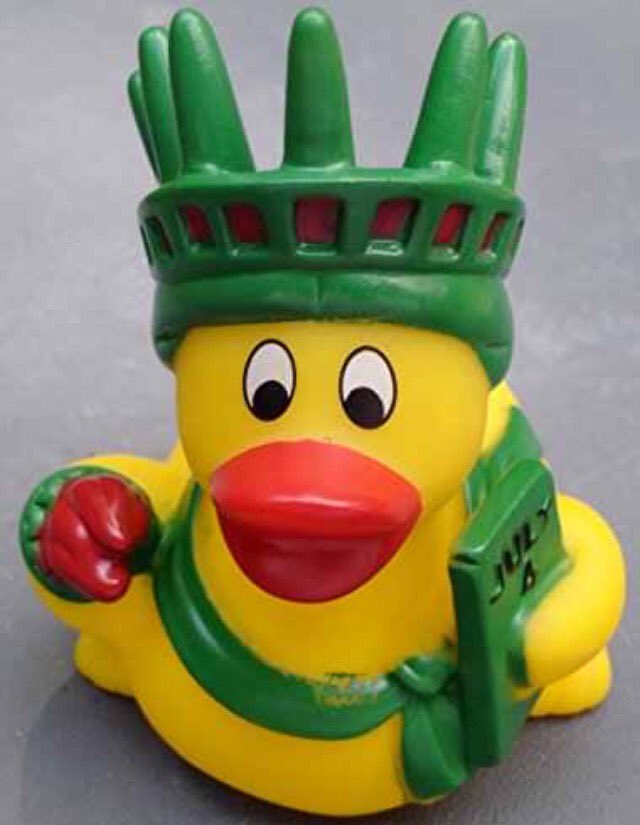 cat_hollin's tweet photo. It looks like this one... @motoway @CostaCoffee (burton-in-kendal) #lost #lostduck https://t.co/PebdS2TUEm