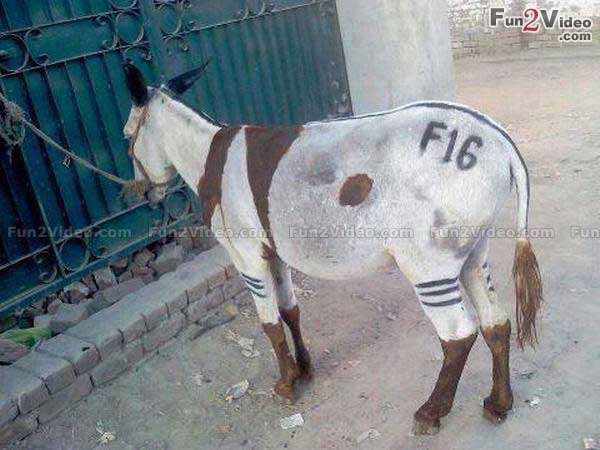 पाकिस्तान से F-16 की तस्वीरें भी आई हैं