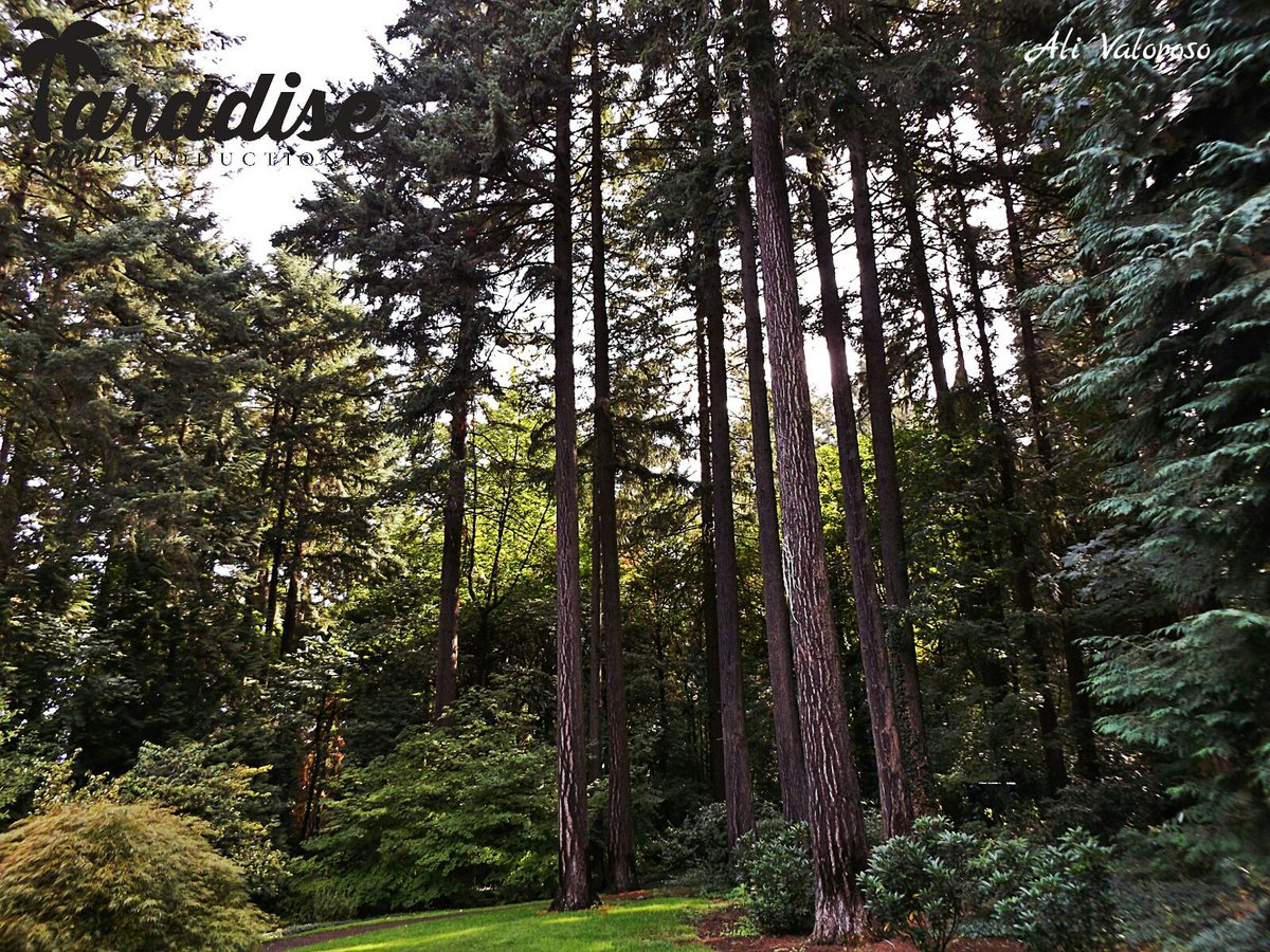 ParadiseRowProd's tweet photo. Photographer: Ali valoroso 
#paradiserowproductions #oregon #hope #Path #adventure #littlemoments #worldexploring #paradise #alwaysbelieve https://t.co/eNtc4S2IPA