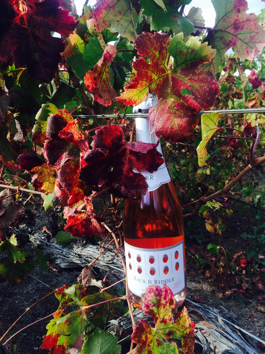 racknriddle's tweet photo. Happy 1st day of Autumn! The Rack &amp; Riddle Rosé is sparkling next to those fall colors. This is magic time-when grapes are turned into wine! https://t.co/7rexeSVLvM