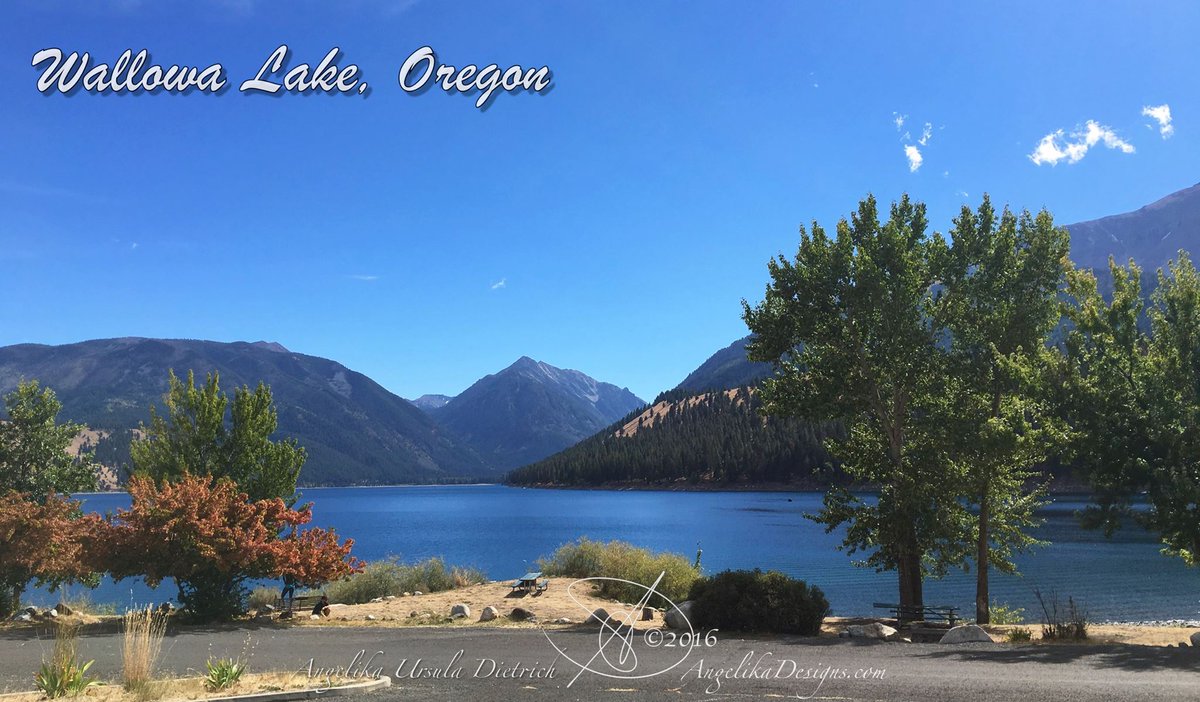 I Love WallowaCounty tweet media
