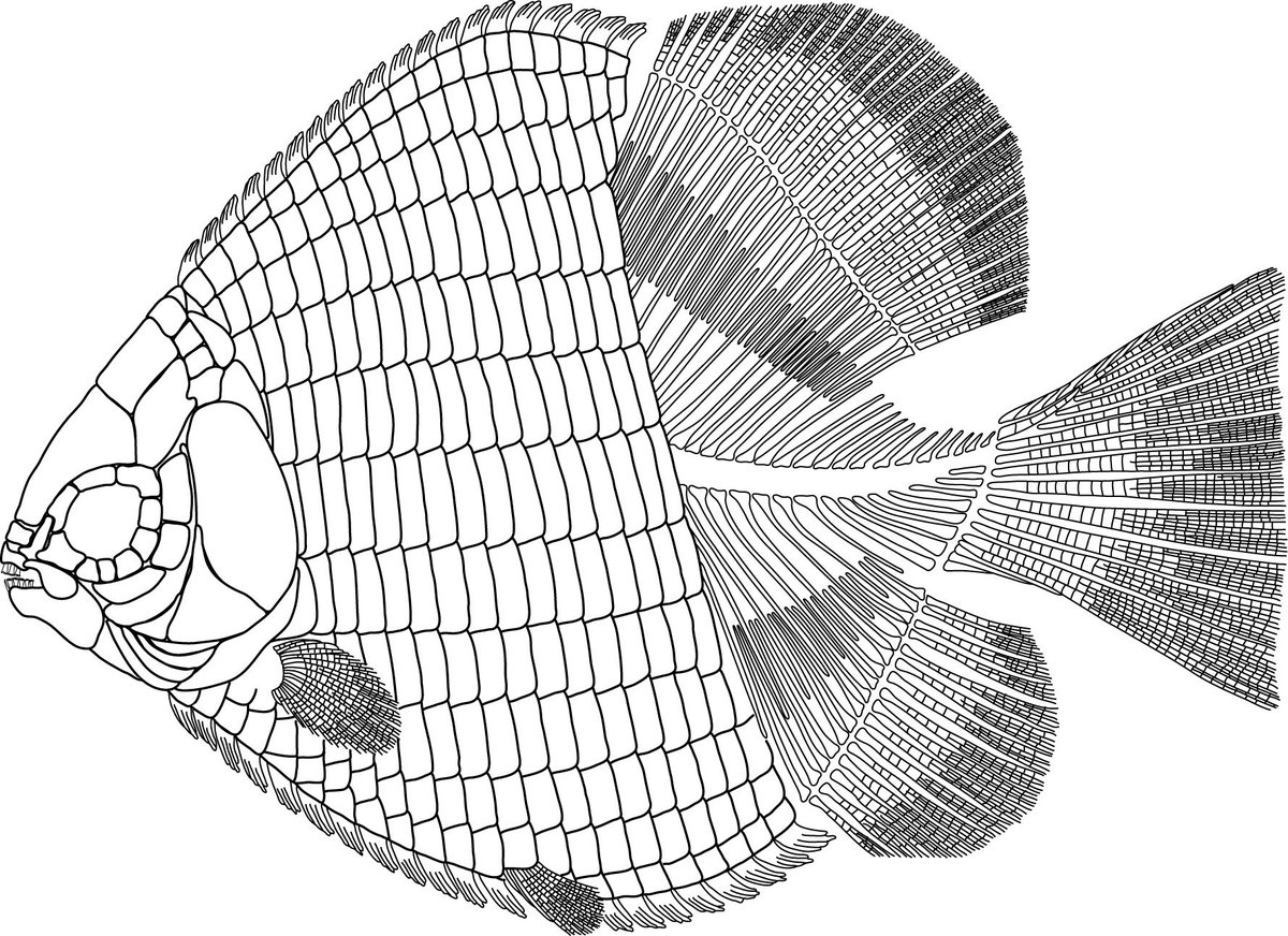 Very cool to see a part of my #DDIG #NSFunded work published today in @PLOSONE! journals.plos.org/plosone/articl…