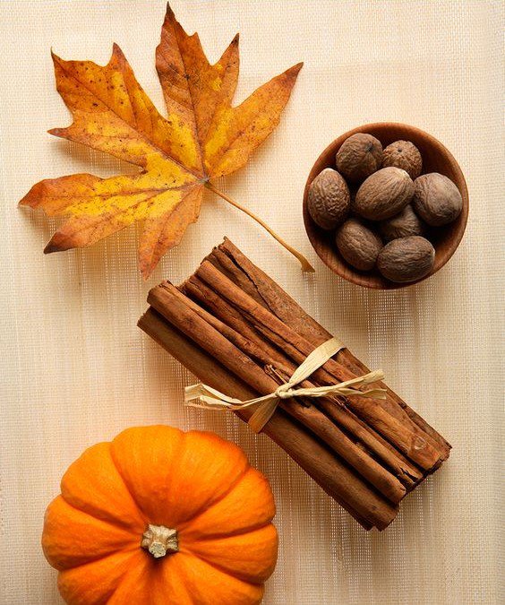 GoSarasota's tweet photo. 4 Ways to Fall into The New Season! https://t.co/CeODkPqKsT https://t.co/7ok5ihgUvn