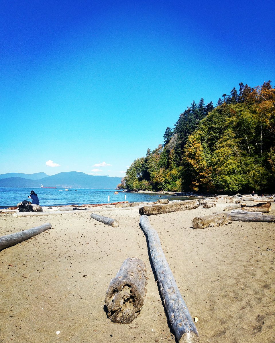 UltTourist's tweet photo. Day 15 of 31: Killing time for my flight to #Vegas at a nudist beach in #Vancouver. Life goals.
#picoftheday #beach #bluesky #follow https://t.co/t2OxiV3cRY