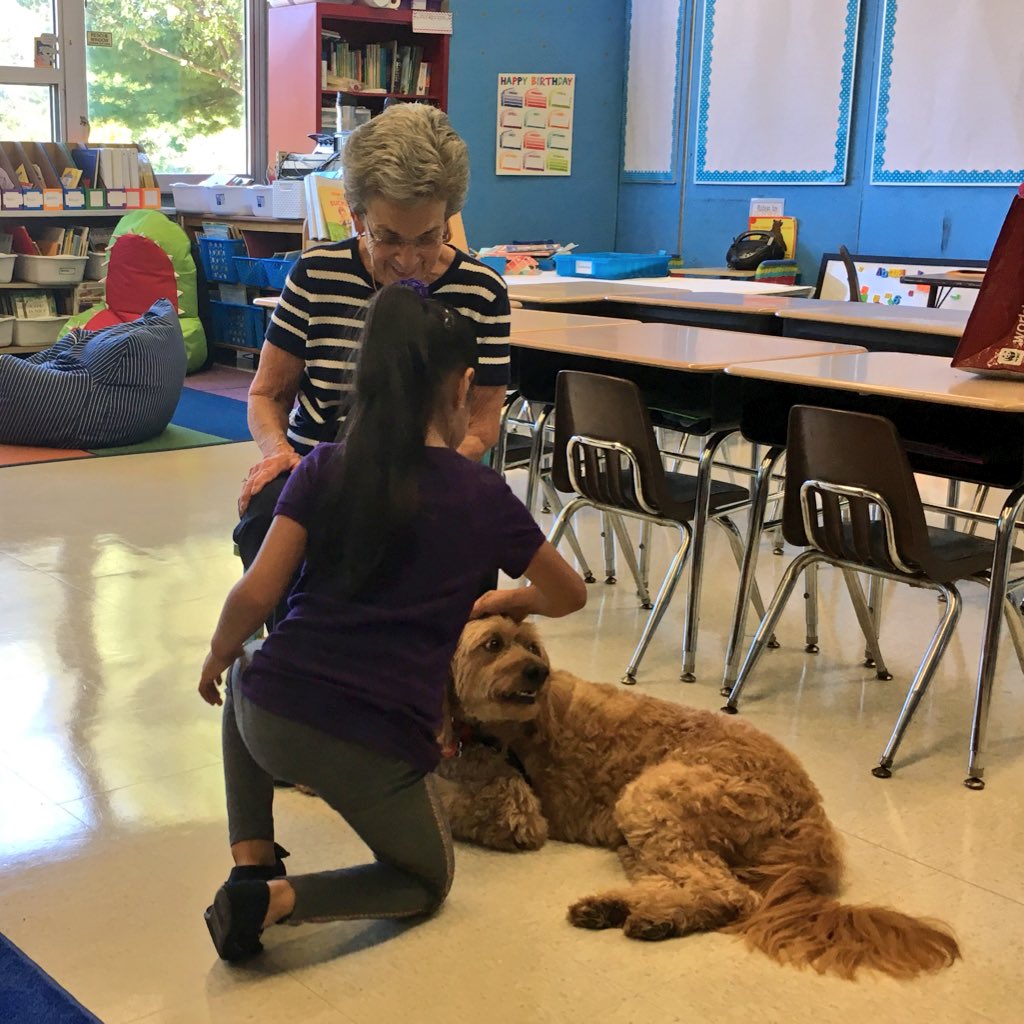 PMSACCWOODCREST's tweet photo. Room 23 friends meeting our special guest Yoni! Yoni is therapy dog! #CharacterDay2016  @ClaraBartonElem @nina_zucker https://t.co/Lwz1vvAIKv