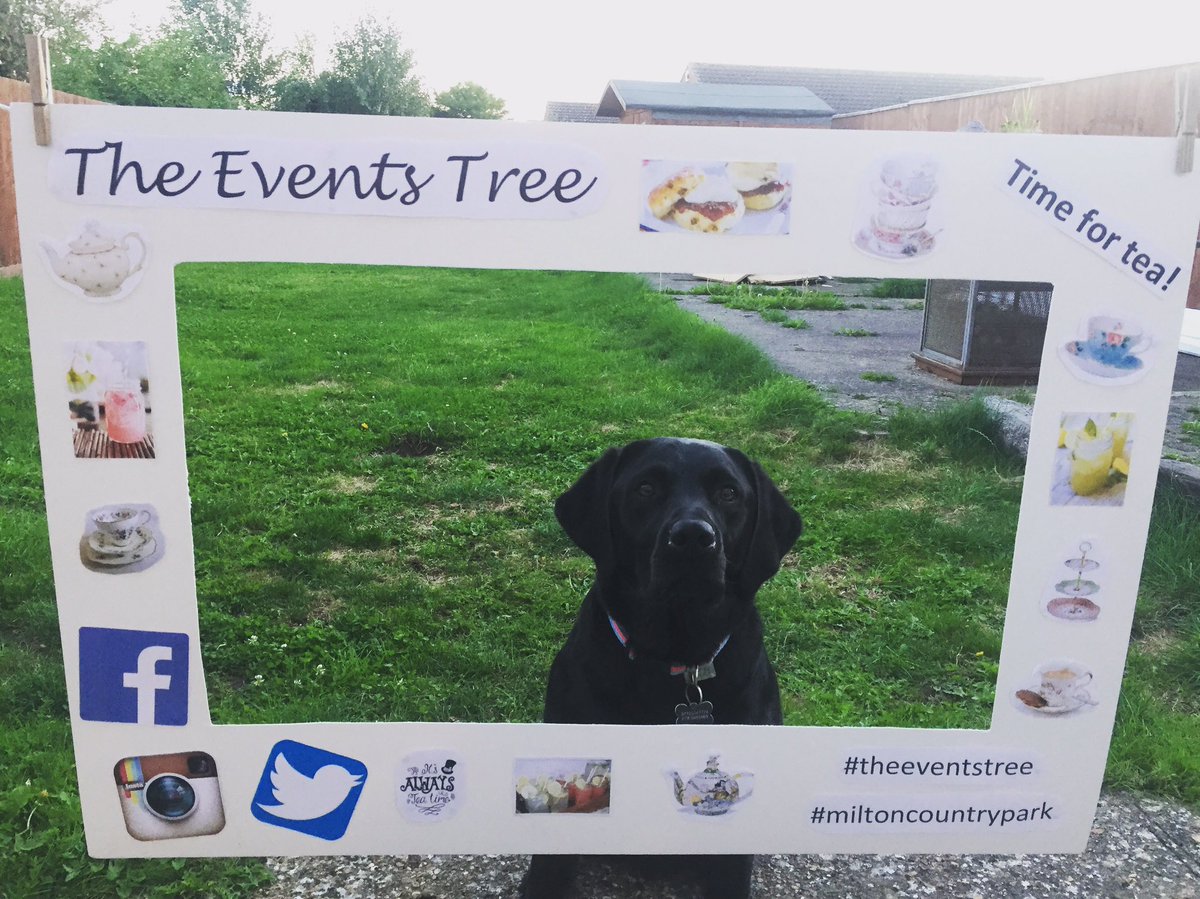 TheEventsTree's tweet image. If your attending #MiltonAutumnFestival on Sunday pop by our tea tent &amp;amp; have your photo in our selfie frame! Modelled by Bali the Labrador!