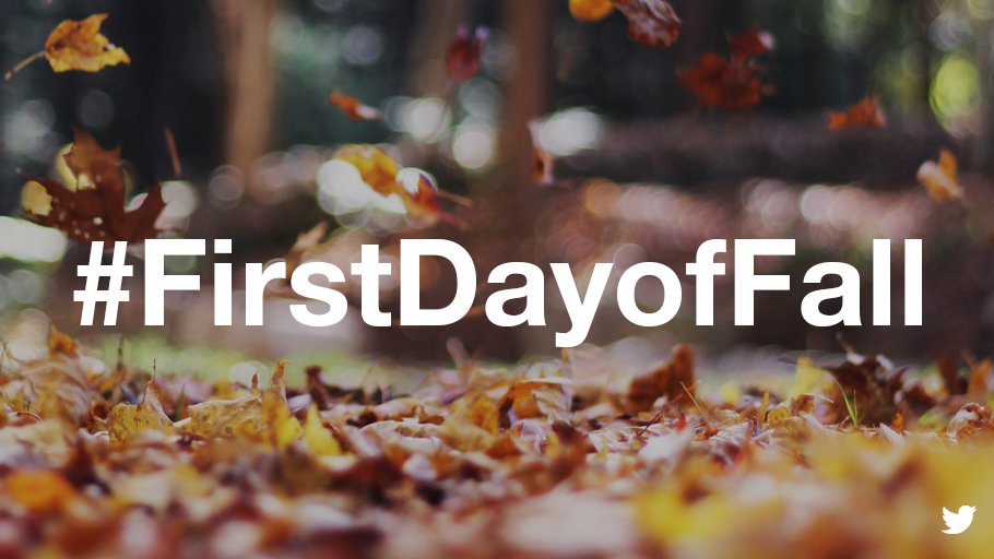 Image of leaves on ground with #FirstDayofFall in center
