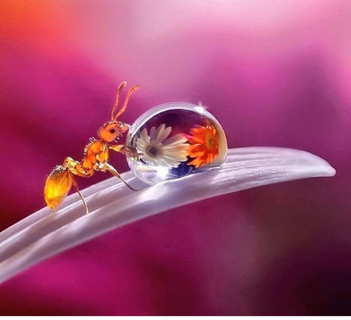 simplecreativek's tweet photo. #creative #photography #eventplanning #eventplanner #eventplanninginKenya #GainWithXtianDela https://t.co/tMOSCZMfhK