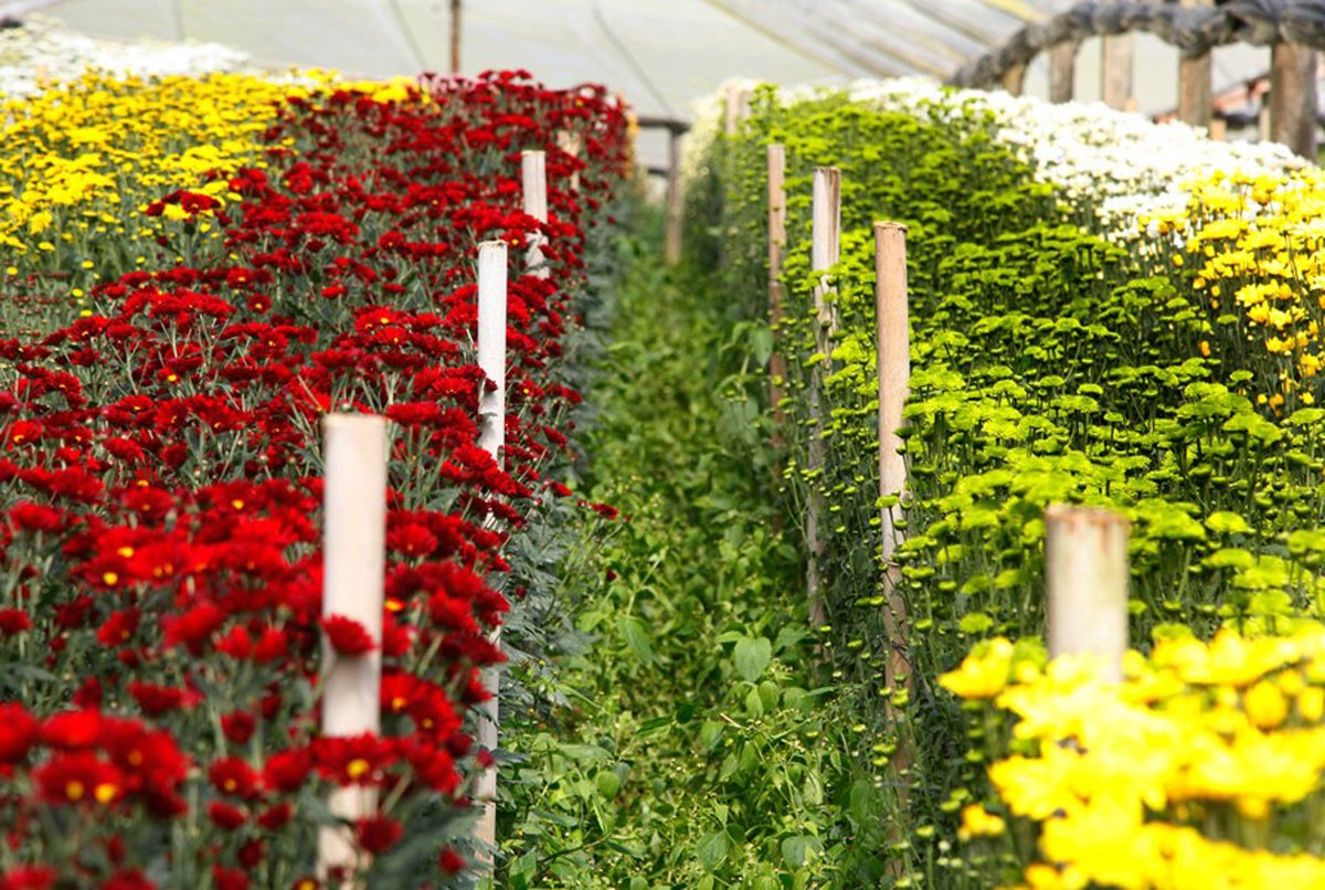GovRJ's tweet photo. #primavera A estação das flores chega ao Rio de Janeiro com tonalidades mais vibrantes e texturas diferenciadas. https://t.co/YAMIOWE9AQ https://t.co/I2Ty8BKZo5