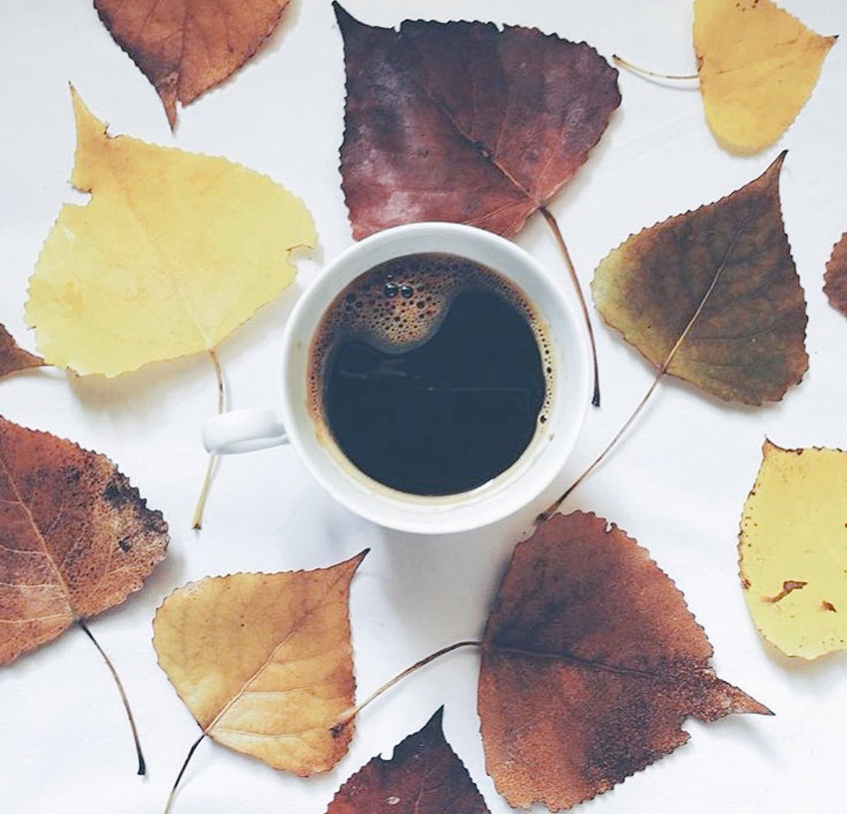 brewoneclub's tweet photo. Join our newsletter @ https://t.co/VniLznO0D7 #prizes #tea #coffee #brewone https://t.co/DFh7TNBlFY