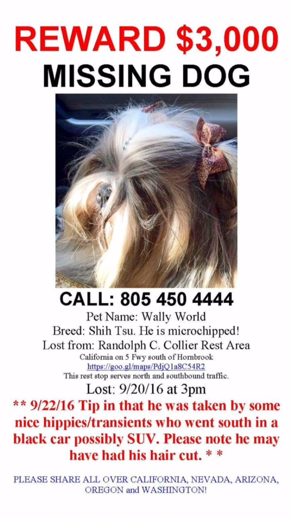 GoodDogBeds (gooddogbeds) Twitter