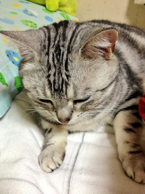 clomimine's tweet image. oui tres merci domi toi aussi tres chou