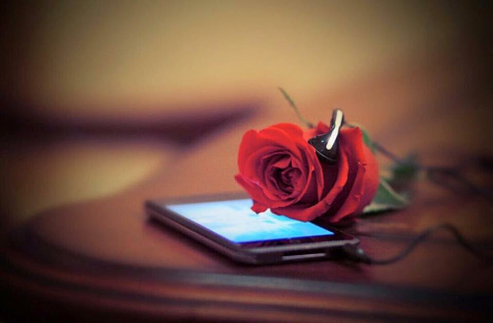 Halasyriagmail1's tweet photo. أحدهُـم : أدخل السَعادة لقلبِي دون أن يَعْلَم 

اللَّهُمَّ أسعدهُ طول العُمر   💗 https://t.co/6dvH0O651k