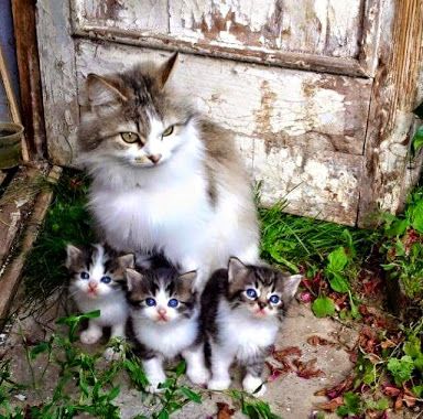 RENARD5149's tweet image. bonne soirée a ts