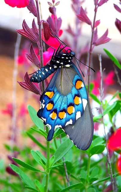 Time does not make a human
But it reveals what was inside
