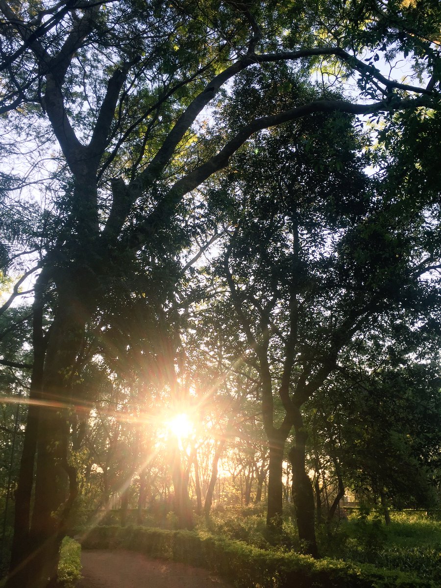 paulimartinez's tweet photo. 😍✨ https://t.co/SzcIzZIXjj