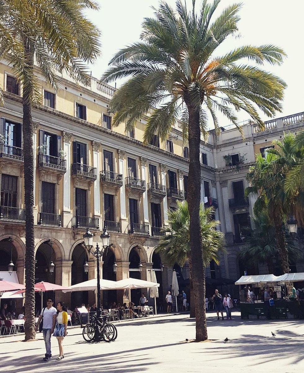 thebarcelonist's tweet image. ~ Me gustan los domingos de paseo a tu lado ~
Plaça Reial #bcn #barcelona #nuestrabcn #plazasdebcn #thebarcelonist
🔹 Foto by @thebarcelonist