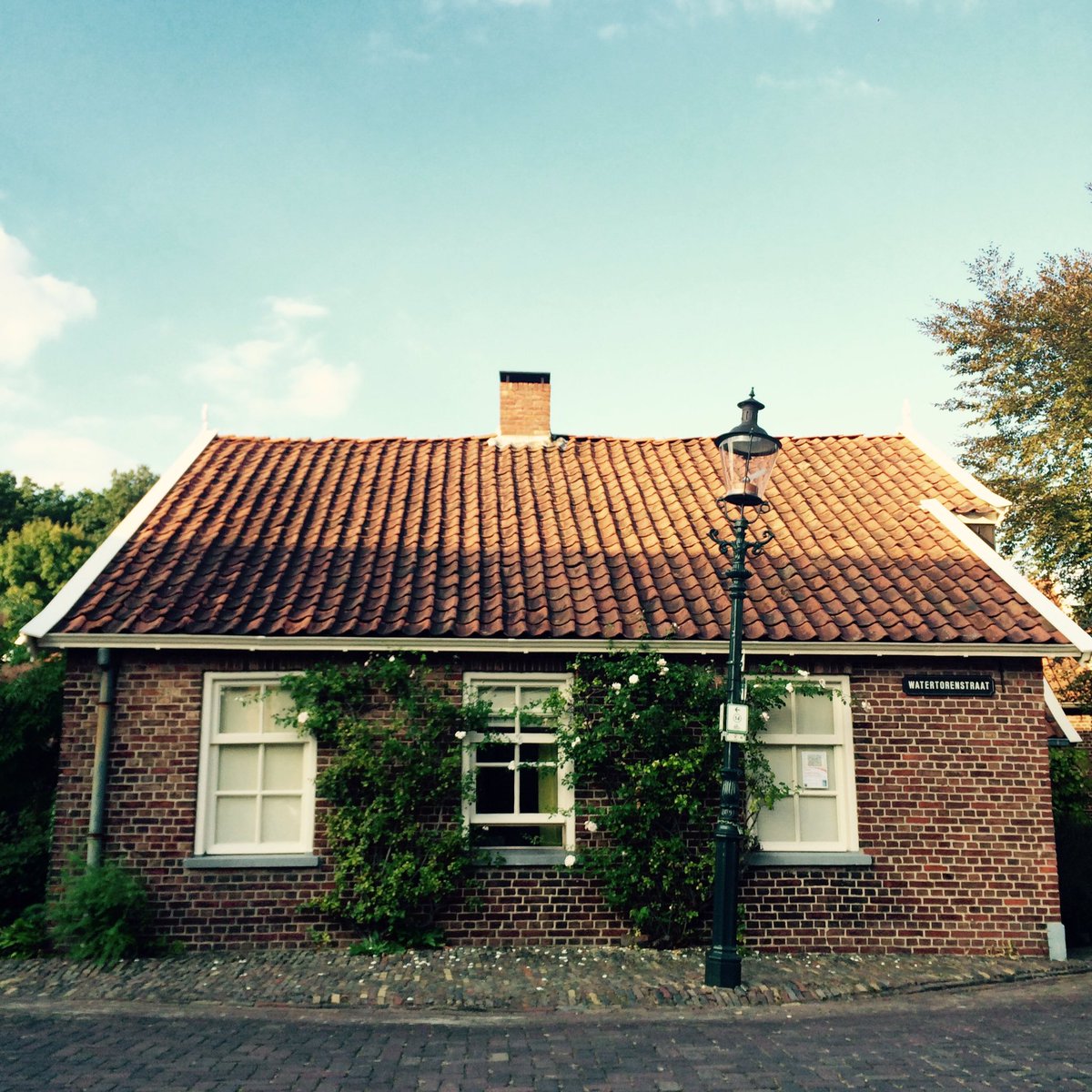 #Borne (OV) met haar schitterende Museum <a href="/Bussemakerhuis/">MuseumBussemakerhuis</a>, een voormalige synagoge (1842) en nostalgische huisjes.