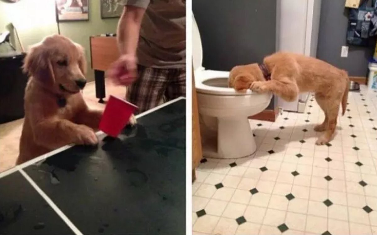 Me: (3pm) I'm gonna take it easy tonight 

Me: *1 am*