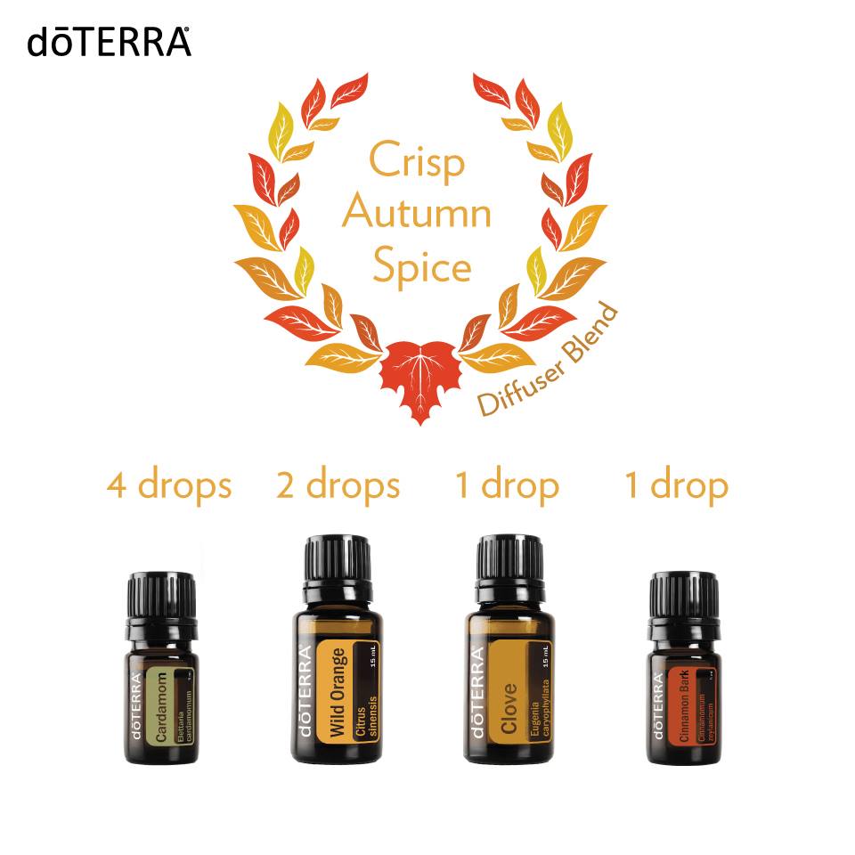 Enjoy the aroma of fall with this Crisp Autumn Spice diffuser blend. 
