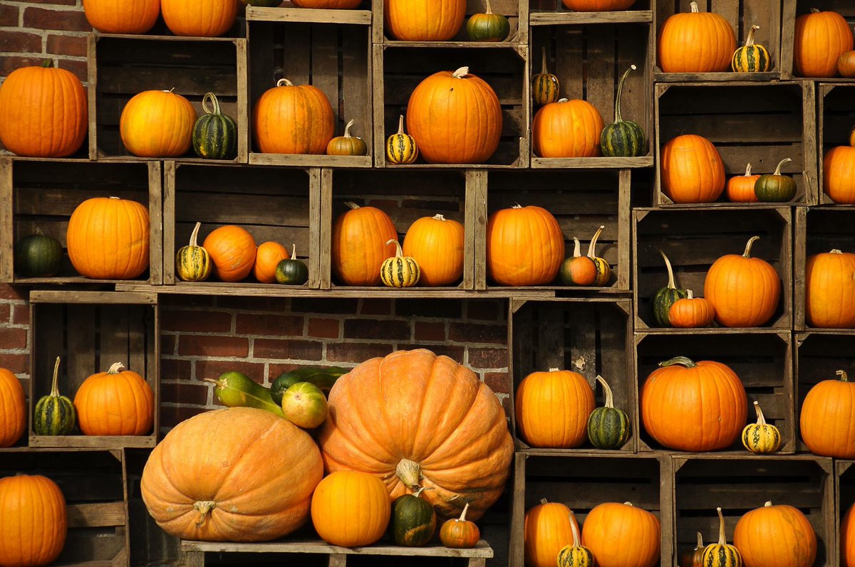 Baxterarcade's tweet photo. Nerd Trivia: Autumn Edition is tonight @ 9!! Win beer and the almighty bar tab!!! See you tonight. https://t.co/zQkqHIKYnK