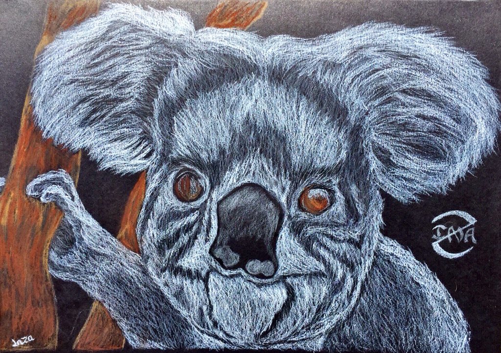 Inzanomics's tweet photo. Quick Koala sketch

Charcoal colored pencils on black paper.

#BasicInzanomics https://t.co/qIFL2ojSvU