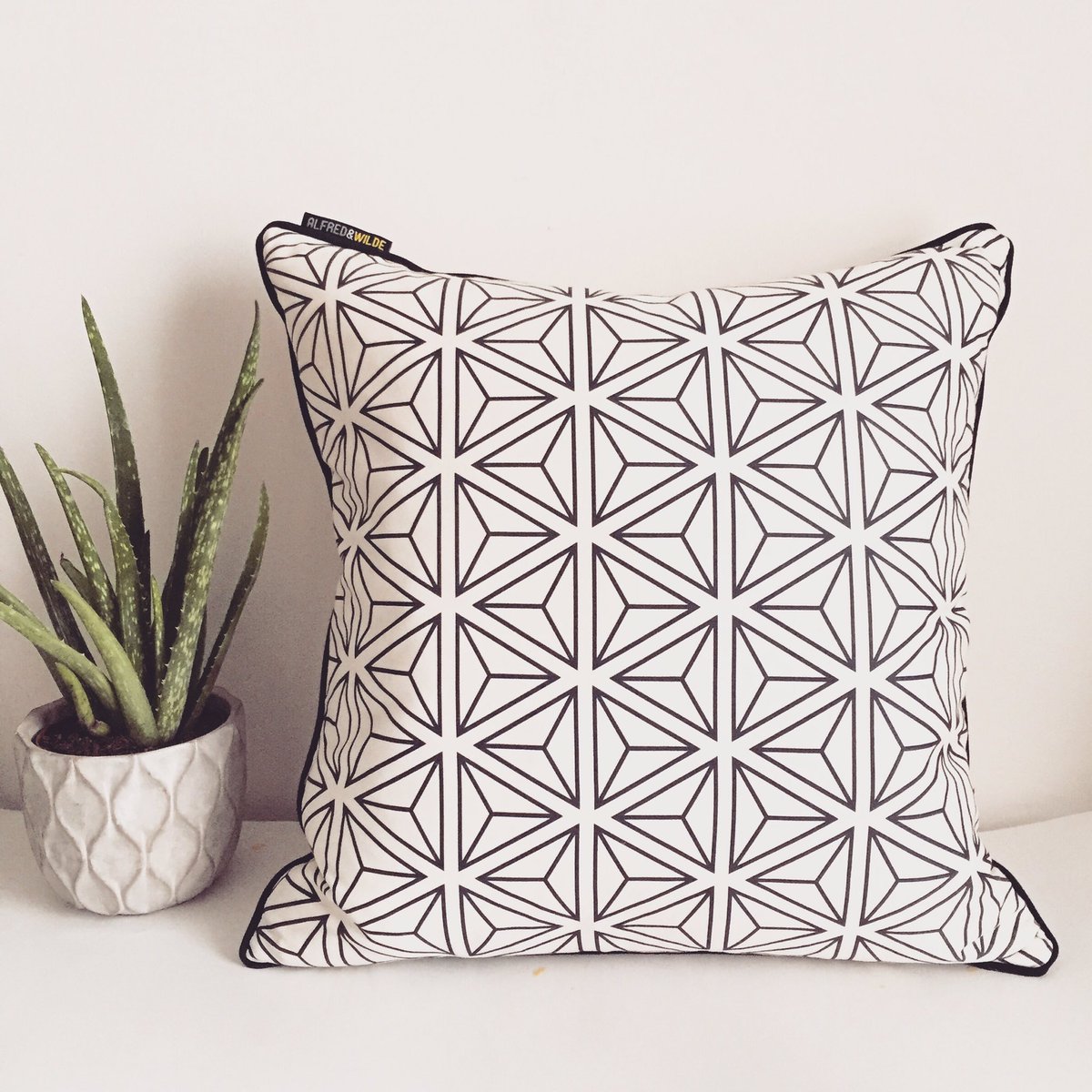 All you need is a geometric cushion and an aloe vera in a concrete pot alfredandwilde.co.uk/collections/cu…
