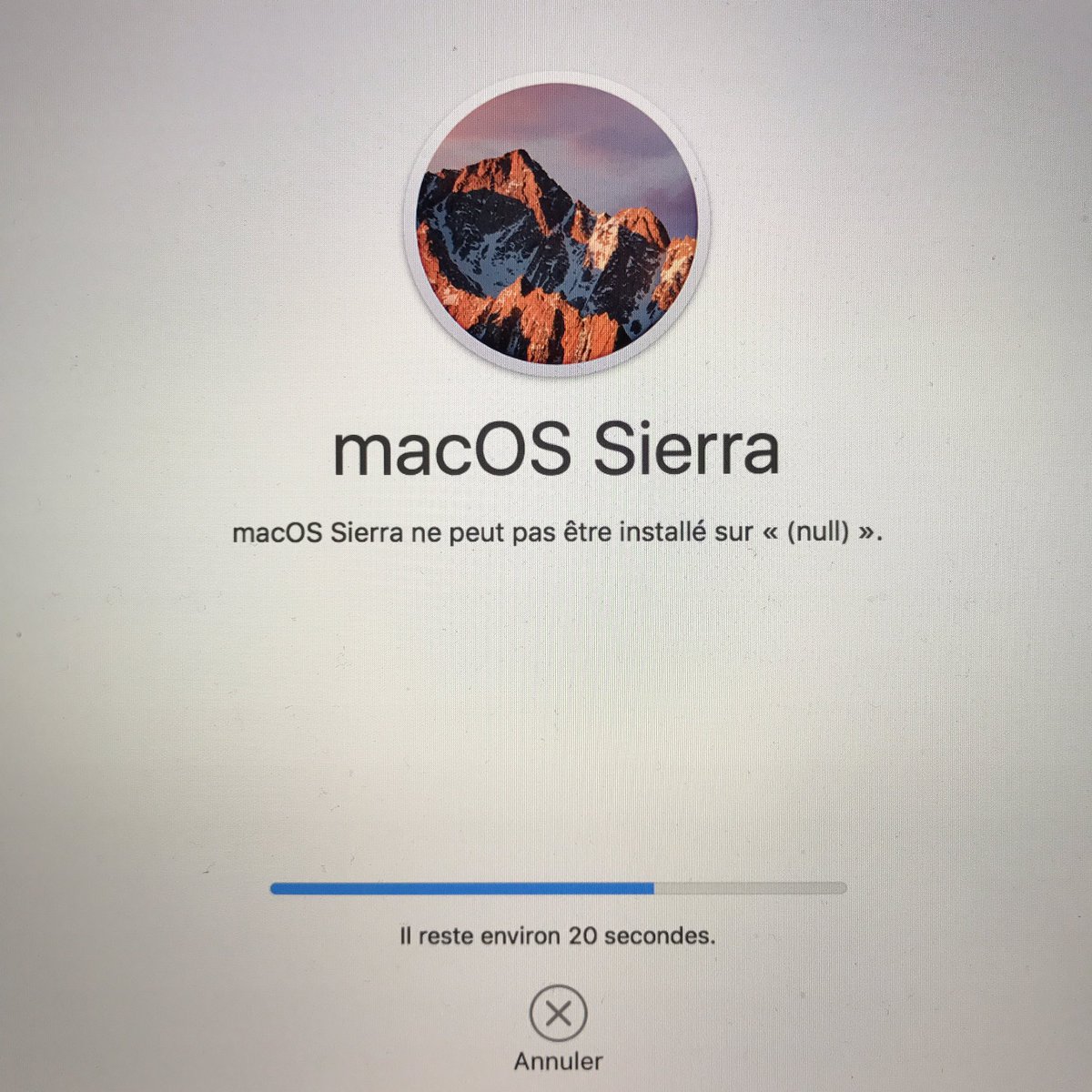 Thomas Brelet tweet media