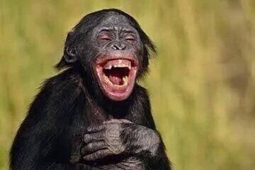 LastDeeToor's tweet photo. No one will lie to you more like the person you're in a relationship with, they'll even make u think u're insane 😂😂😅 https://t.co/5Fa6qxXB52