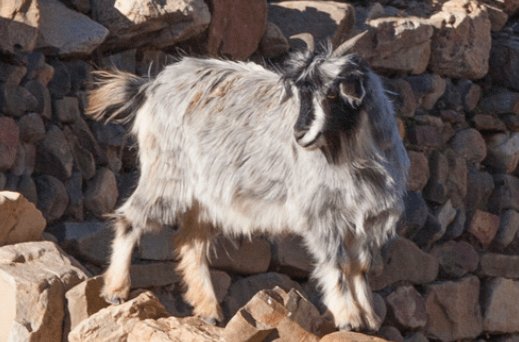 From the Road cocoecomag.com/2016/09/20/fro…