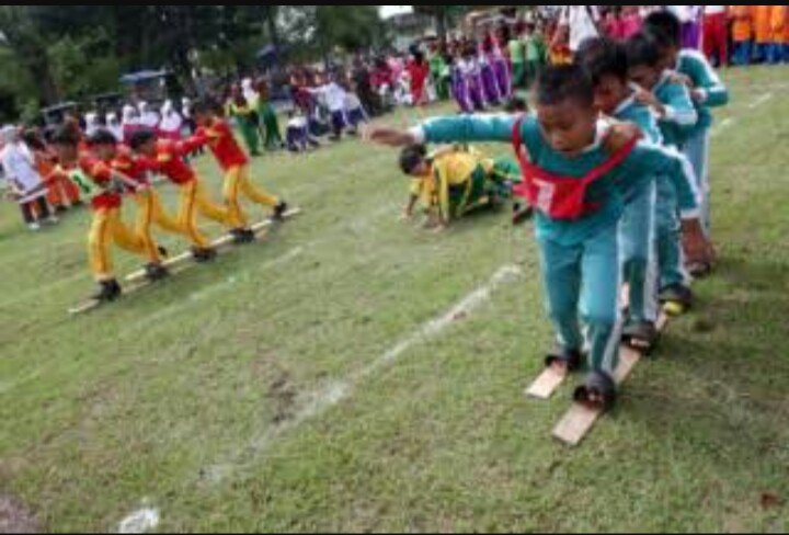 PakdeTree tweet media