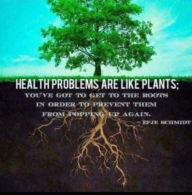 Grandamchic's tweet image. #plexuscanhelp
#plexusworks
#tryfor60days