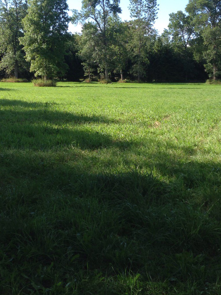 Sphilbin1's tweet photo. #TDTreeDays,our Minesing planting site before September 25th planting. Sign up at https://t.co/bjwAbZ9Usw https://t.co/Wsz6qZshIv