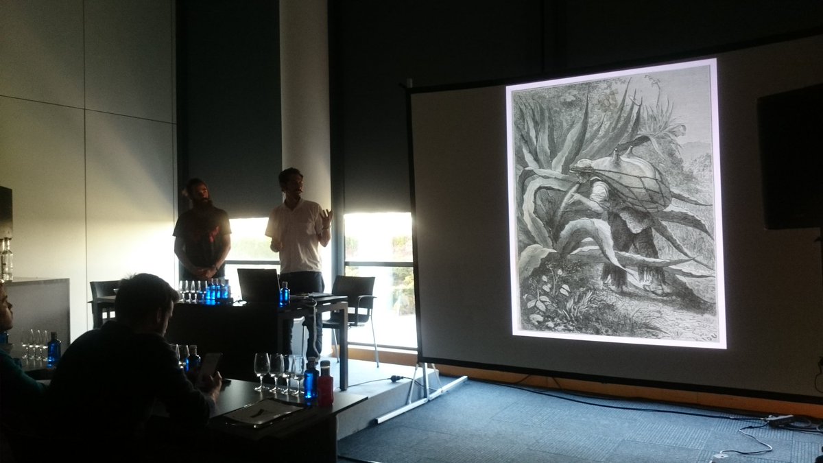 ENMEZCALARTE tweet media