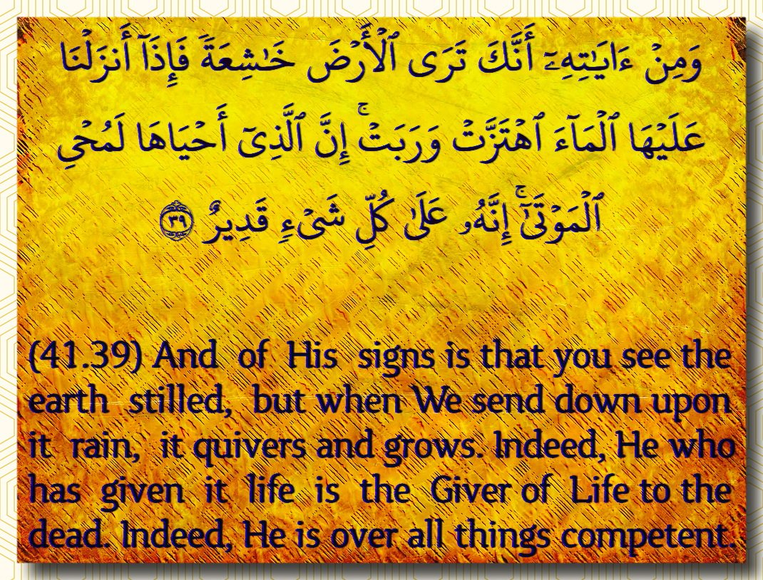 weddode's tweet image. Rtw8.com