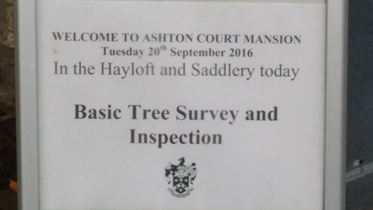 Great mix of people on today's course! <a href="/ArbAssociation/">Arboricultural Association</a> <a href="/ashton_court/">Ashton Court Festival</a>