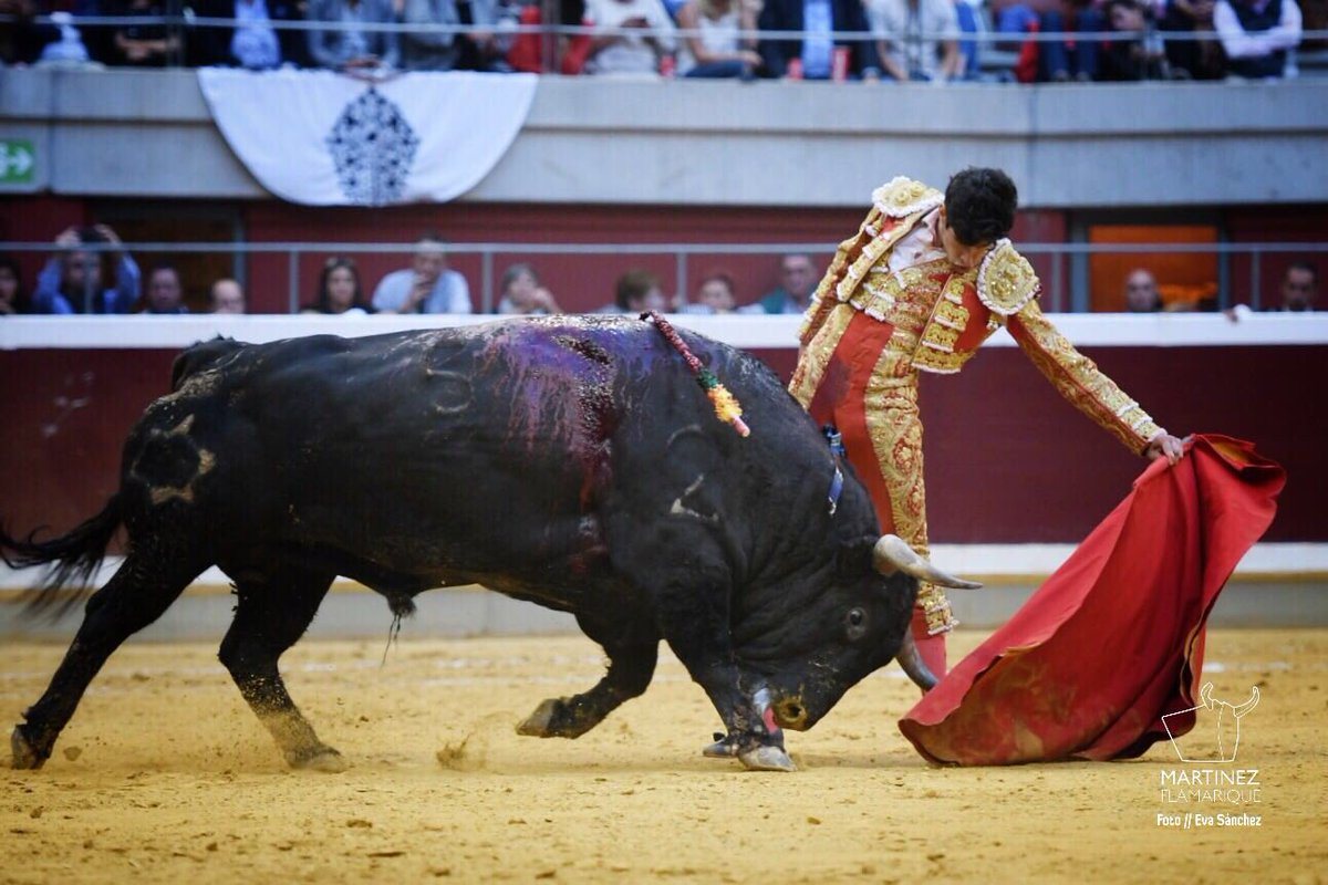 TorosenLogrono's tweet photo. Más momentos de la faena de @PrensALSimon al 5º de Jandilla

#SanMateo2015 https://t.co/GVRmgCPovj