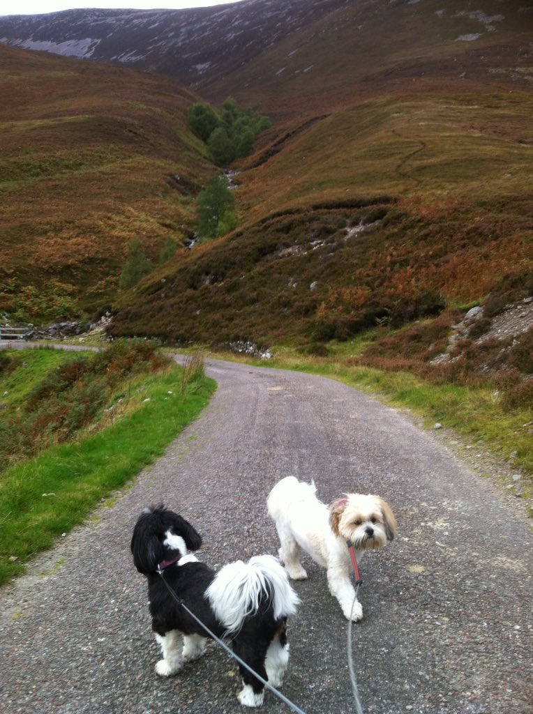 StevieRussell2's tweet photo. Took 2 of the bairns a walk in #Glenroy #parallelroads https://t.co/rhYRetgrkQ