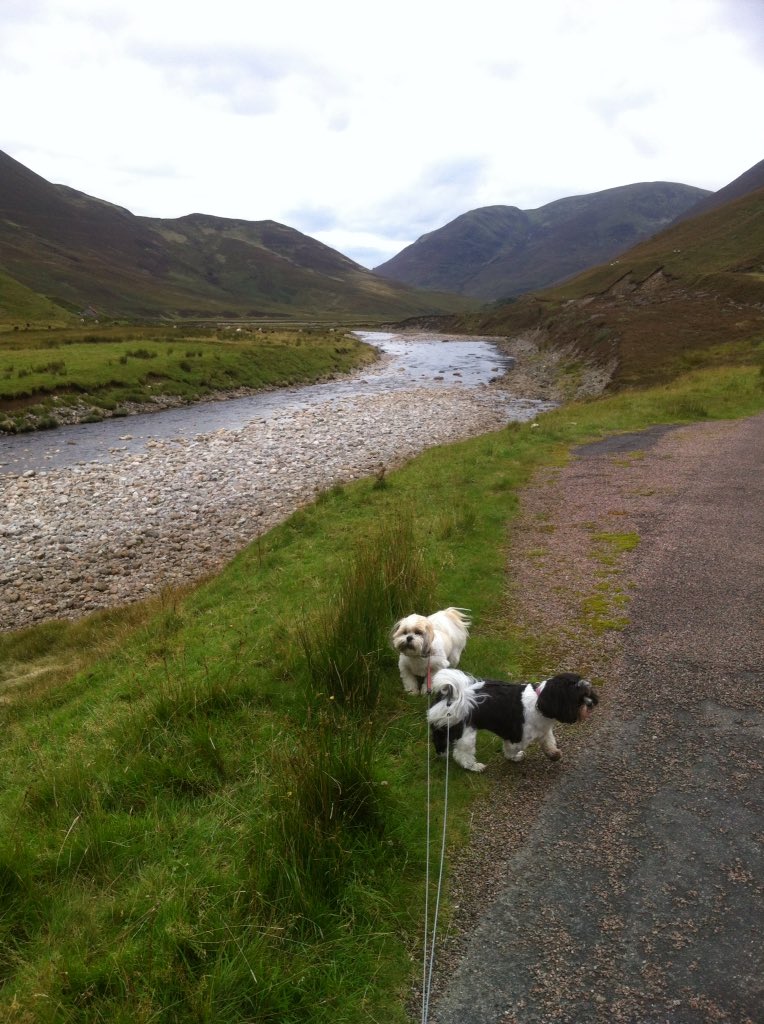 StevieRussell2's tweet photo. Took 2 of the bairns a walk in #Glenroy #parallelroads https://t.co/rhYRetgrkQ