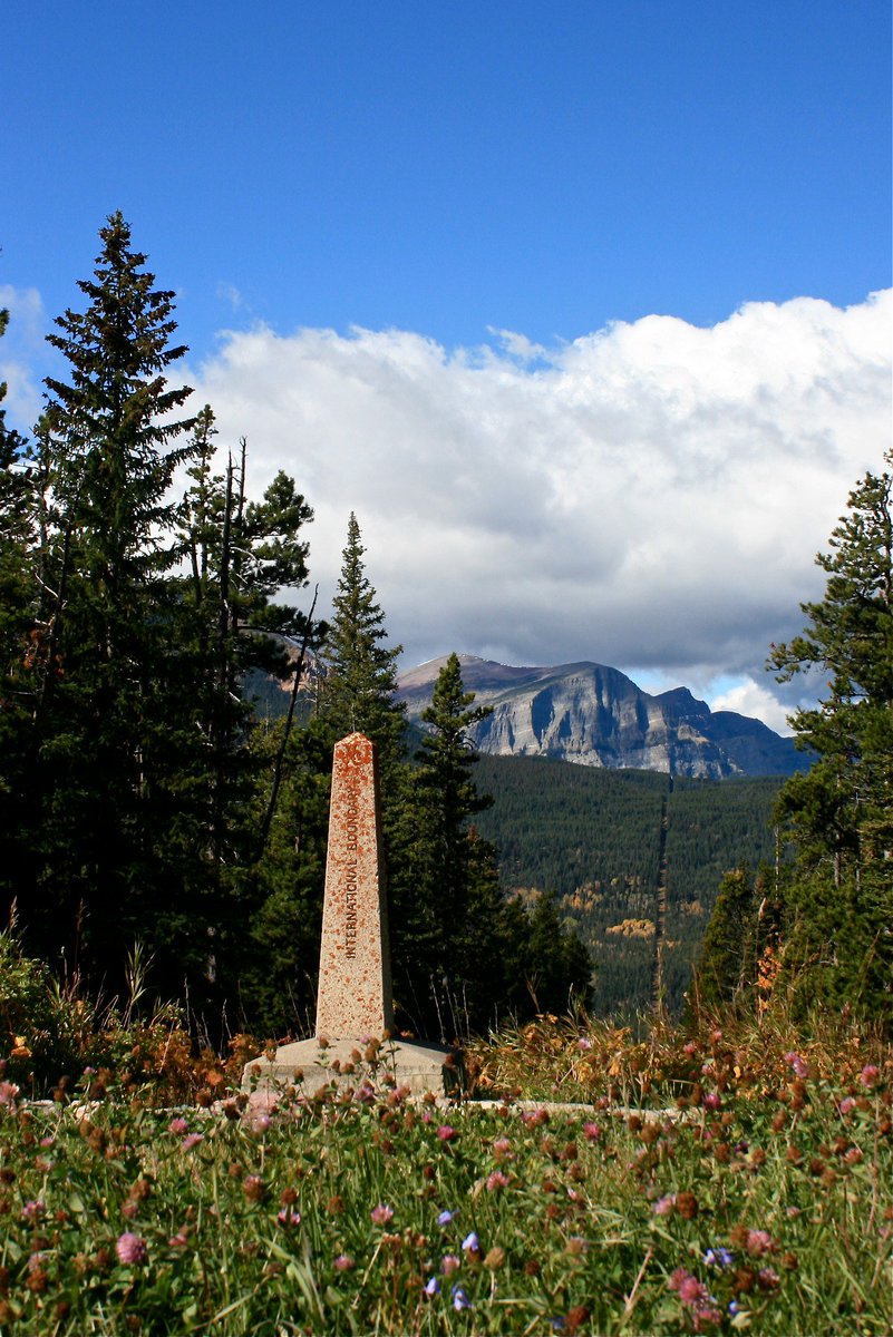 Y2Y_Initiative's tweet photo. From #HandsAcrossBorders, this is the border between @GlacierNPS and @WatertonLakesNP. A cutblock in the woods; a great place to hold hands. https://t.co/CcPBum3Vcm