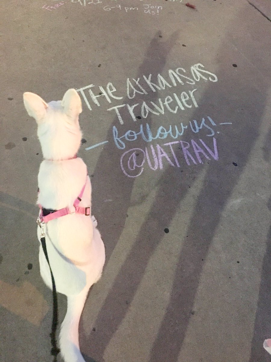 abbyjhunter's tweet photo. If Cypress had social media...she'd be following @uatrav ...so should you 🐶 #mascot https://t.co/l70ghXygQB