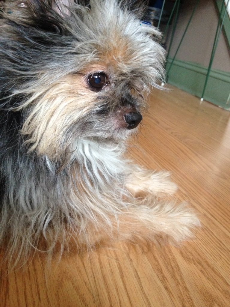 I feel bad she's hot and I somehow managed to get locked outta me and my grandmas room