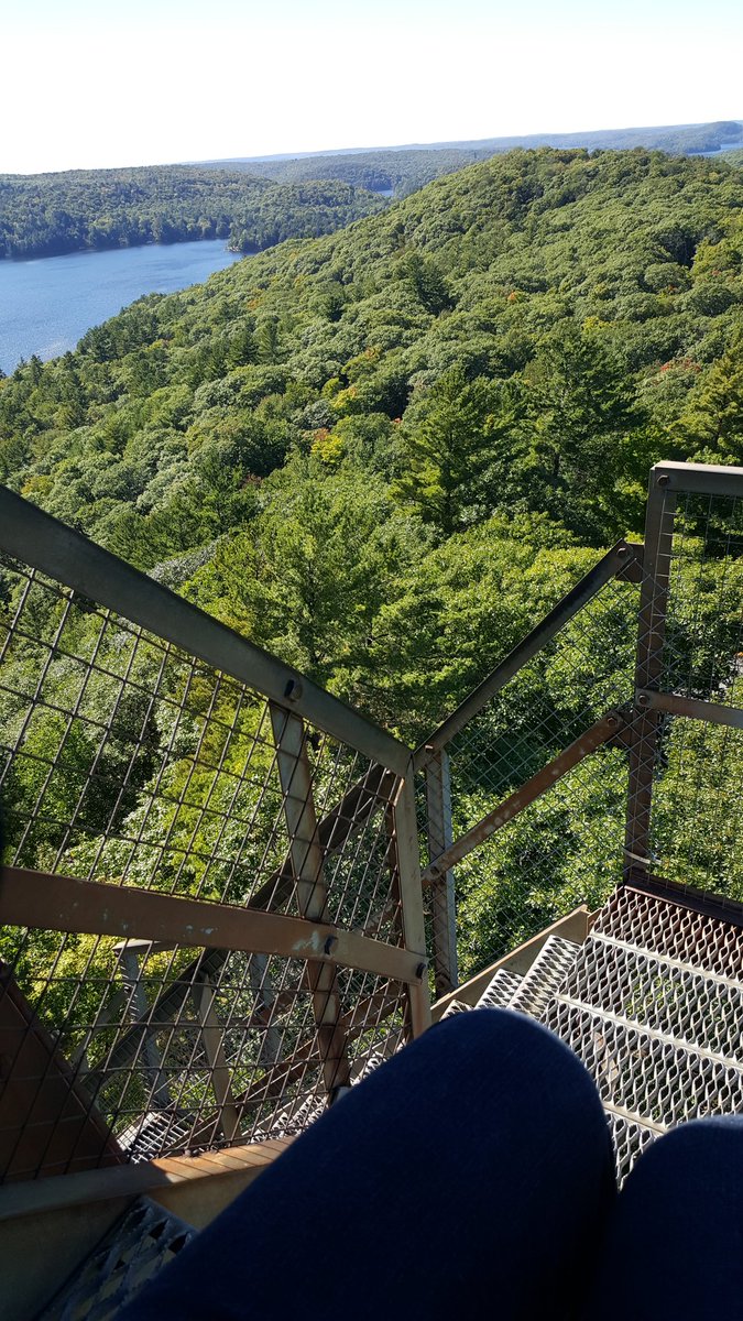Coping_with_MS's tweet photo. Almost there...it is VERY windy!!!! #ConquerMS #TowerClimb #StillCan #FUMS https://t.co/QQx5WRNCH5