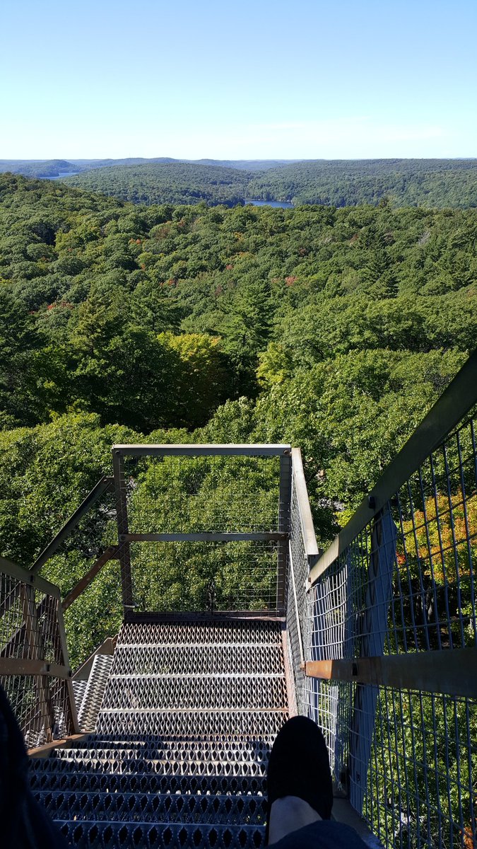 Coping_with_MS's tweet photo. I'm the king of the World! #MadeIt #ConquerMS #TowerClimb #StillCan #FUMS https://t.co/EqJrl1wc4w