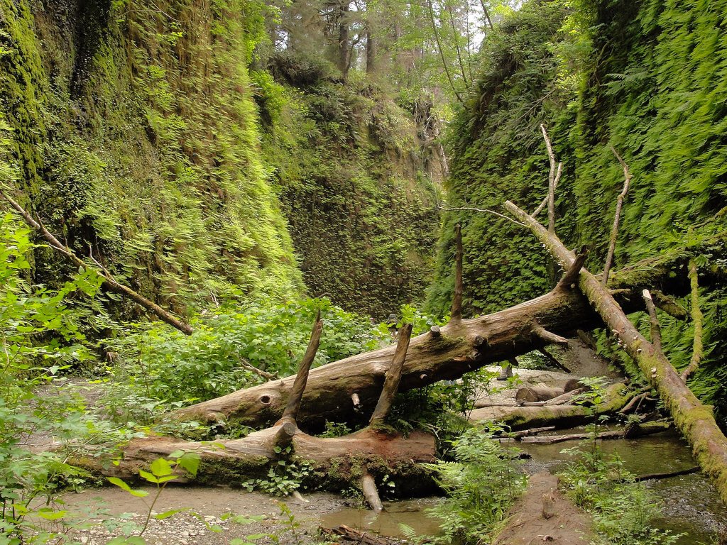 znaeym_georg's tweet photo. #5 OW. THAT HURT LIKE HELL. STUPID TREE. HOW DARE YOU FALL ON ME. https://t.co/BPWcnKp33W