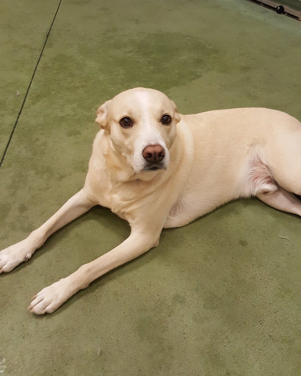 Karma relaxing